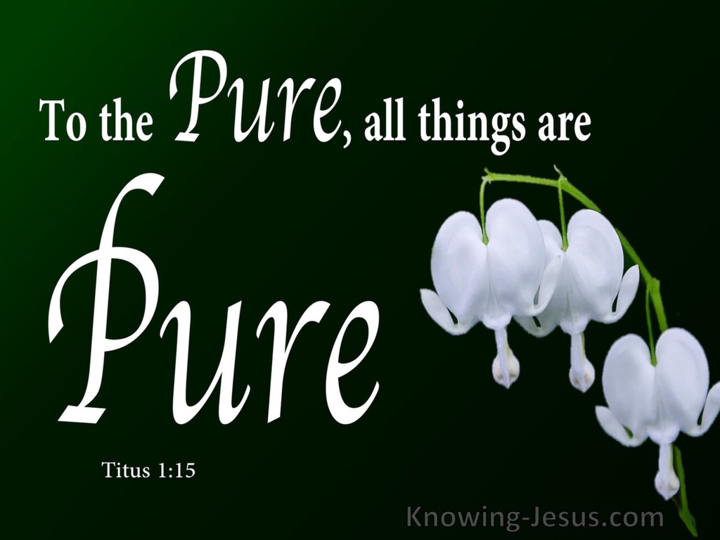 Titus 1:15 To Pure All Things Are Pure (white)